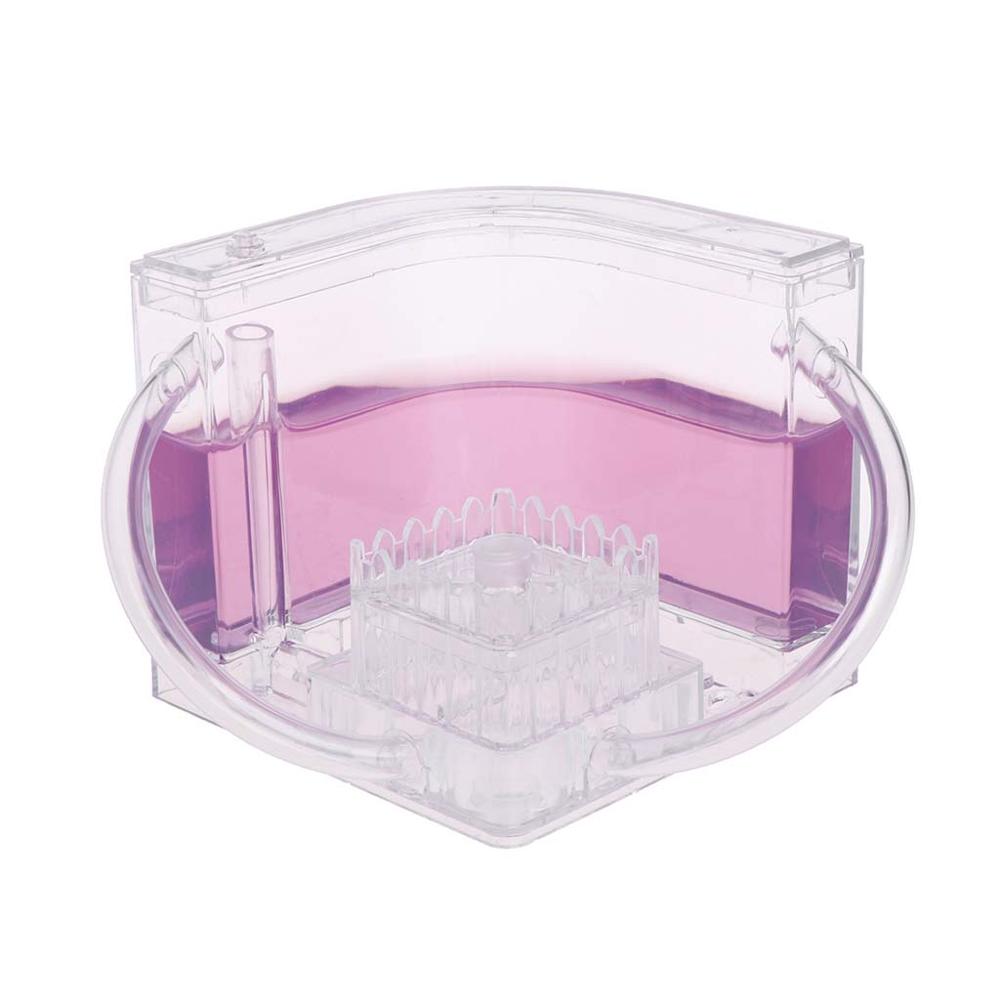3D Ant Farm Educational Maze Live Feeding System Ants Habitat World Pet Villa 67JB: purple