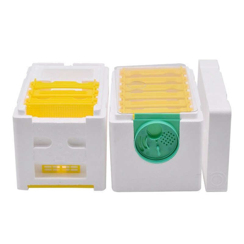 Honing Bijenkorf Frames Bijenteelt Doos Bijenkorf Koning Bestuiving Doos Bee Paring Copulatie Box Bijenteelt Apparatuur