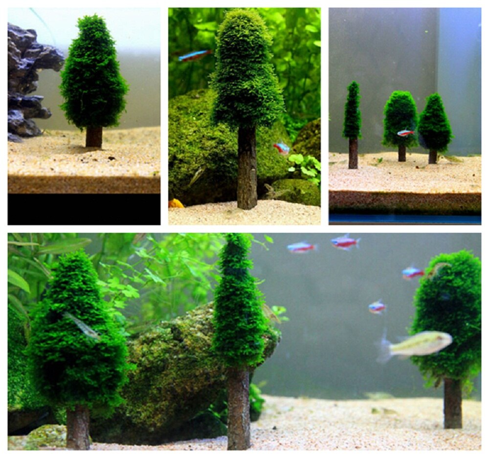 Aquarium waterplanten landschapsarchitectuur mosdragers kerstboomdecoratie ornament voor aquarium