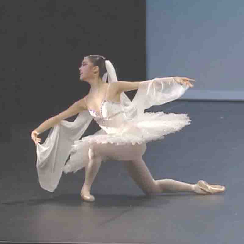 Voksen hvit tutu kvinner ballett dans konkurranse kostyme kunstløp kjole for jenter swan lake ballett kjole