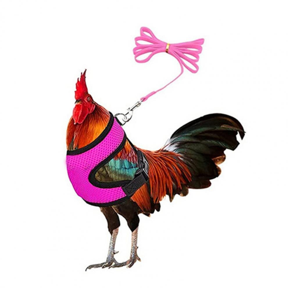 1 Set Chicken Harness Stylish Adjustable Mesh Chicken Duck Poultry Vest Poultry Supplies Duck Leash Chicken Vest: Purple / S
