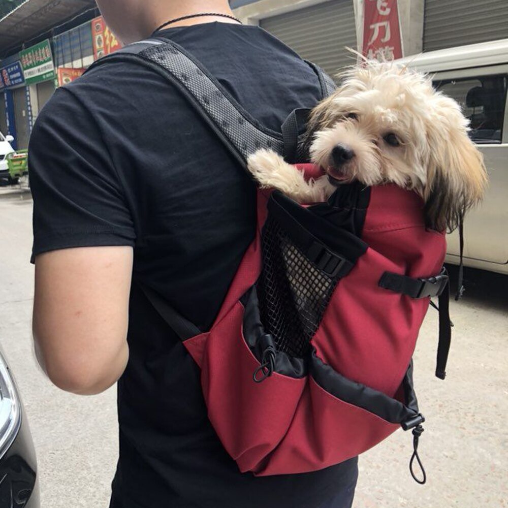 motos sacs à dos pour animaux de compagnie voyage moto sac pour animaux de compagnie adapté aux chats chiens animaux de compagnie