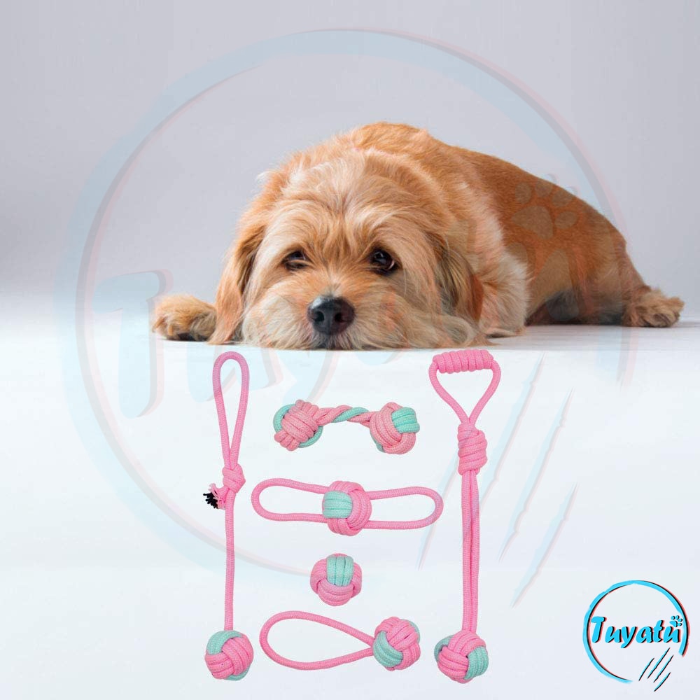 6 paquetes de cuerda de algodón perro de juguete del animal doméstico juguete de perro pequeño limpios los dientes de perro pelota para masticar juguete para perros pequeños perros cachorro interactivo Durable
