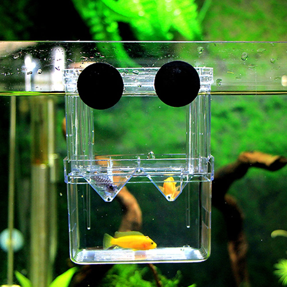 Multifunktionel fiskeavl isolationsboks inkubator opdrætter til akvarium akvarium tilbehør