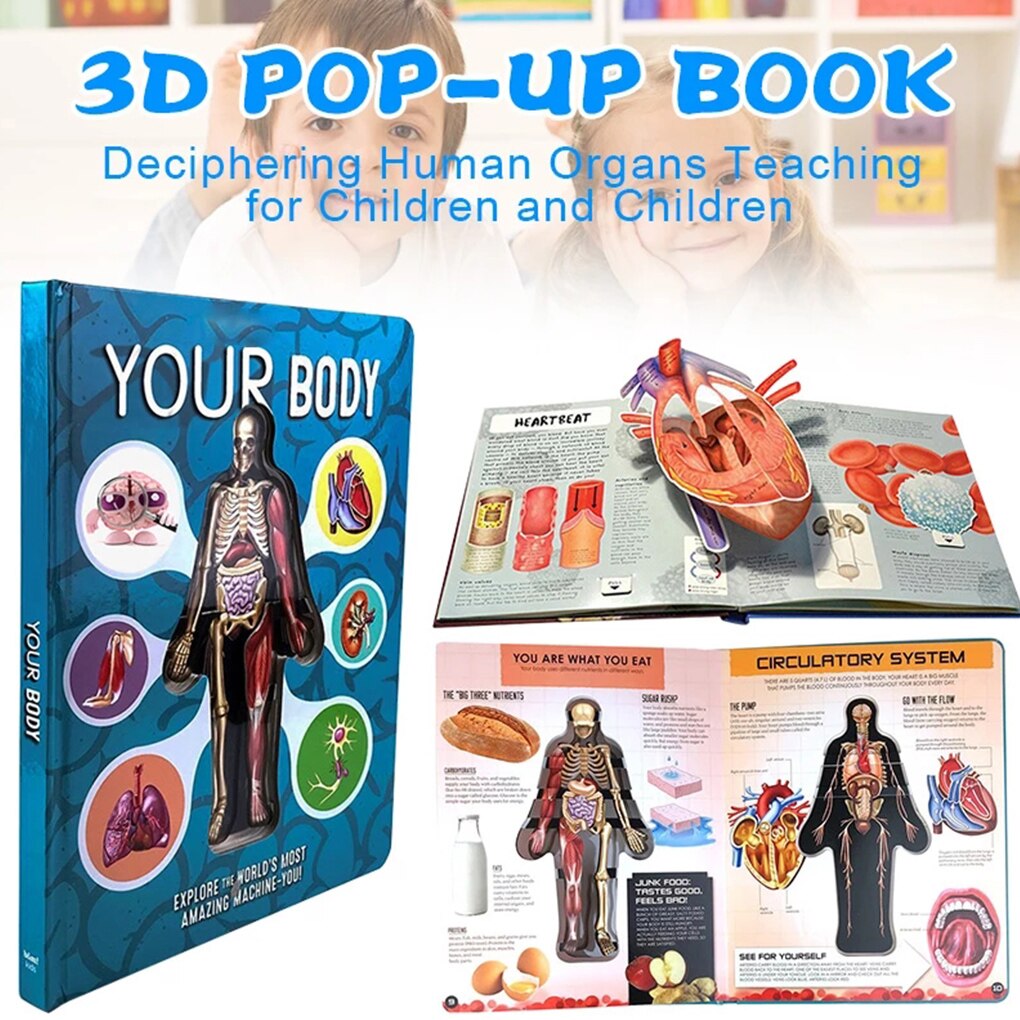 3D Foto Menselijk Lichaam Structuur Boek Anatomie Wetenschap Lezen Stickers Kid Vroege Educatief Cognitieve Ontwikkeling Doek Boek Speelgoed