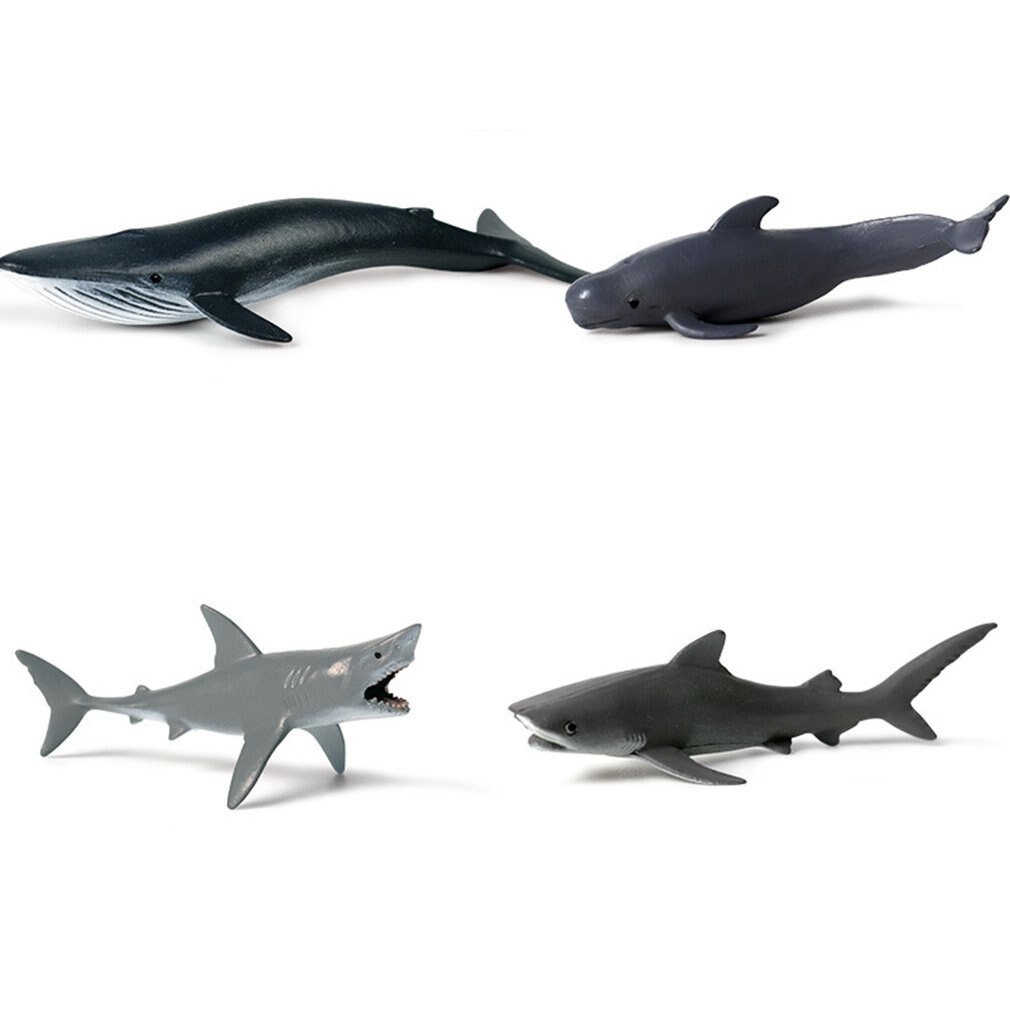 Kinderen Solid Simulatie Mariene Biologische Model Grote Witte Haai Megalodon Walvishaai Tiger Shark Speelgoed Ornamenten