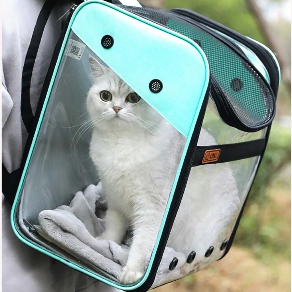 Nueva mochila transparente Visible para mascotas, mochila porta gato, mochila transpirable para viaje al aire libre para perros pequeños y gatos @ 40