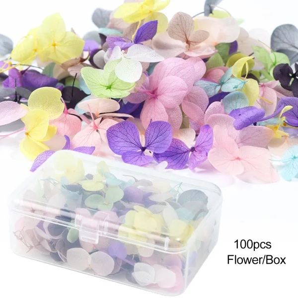 Décalcomanies de fleurs séchées 3D pour Nail Art, autocollants floraux naturels, conceptions de fleurs sèches pour N64.Crafts, accessoires de manucure bricolage: 天空蓝