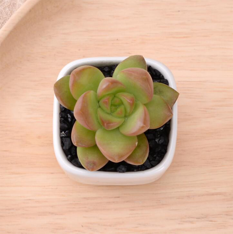 Kurze Weiße Keramik Blumentopf Kleine Platz Grüne ... – Vicedeal