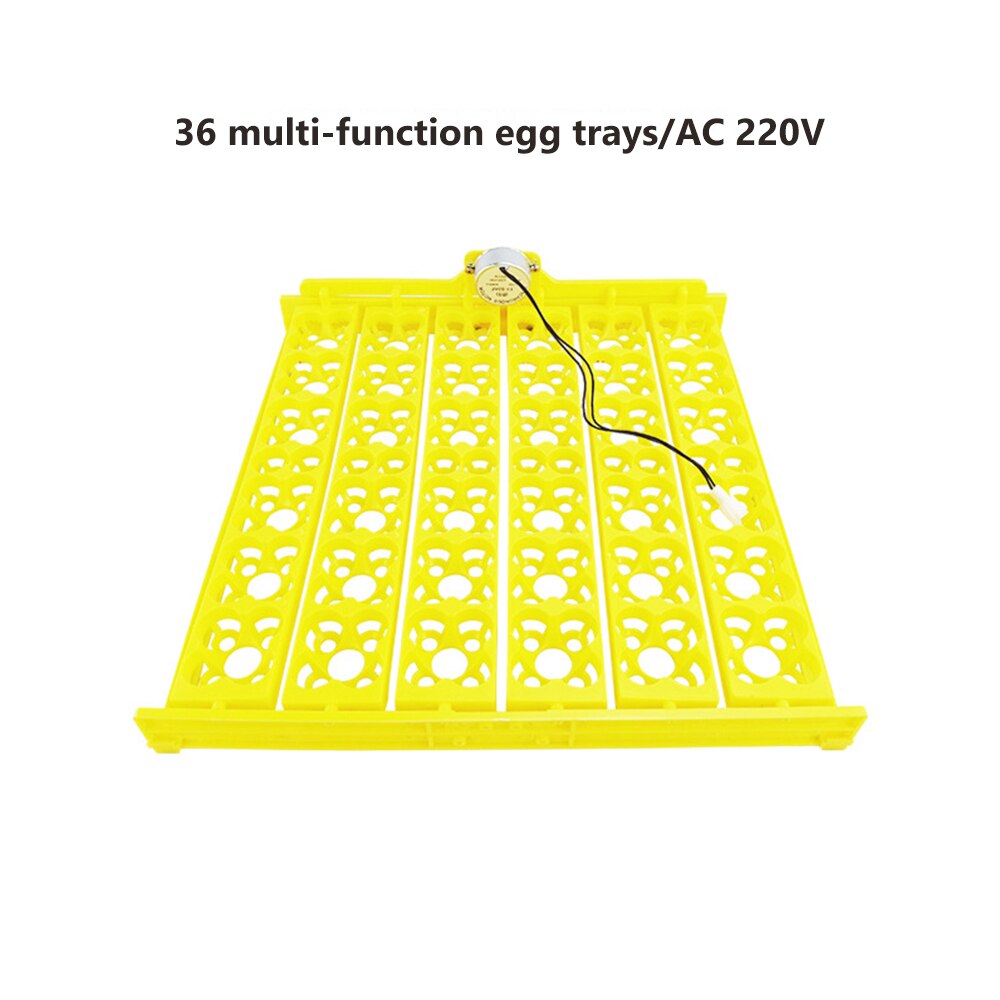 110V 220V 36 Eggs Incubator Brooder Bird Quail Chick Hatchery Incubator Poultry Hatcher Turner Automatic Farm Incubation Tools: AC 220V