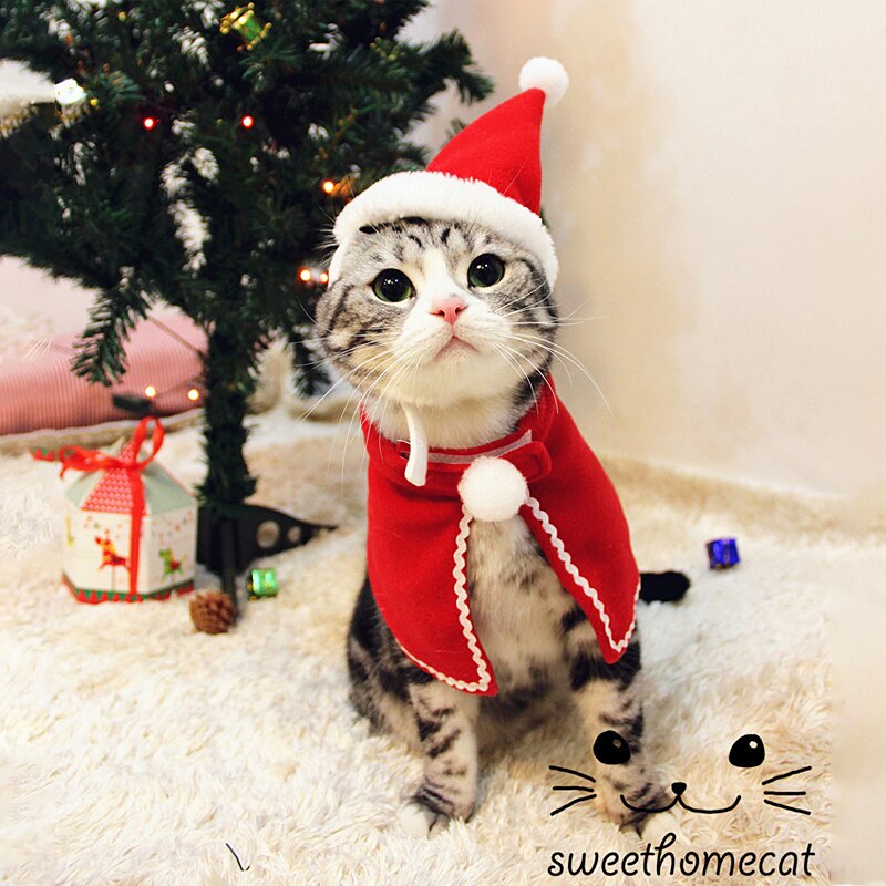 Christmas Cat Costumes Funny Santa Claus Clothes F Grandado