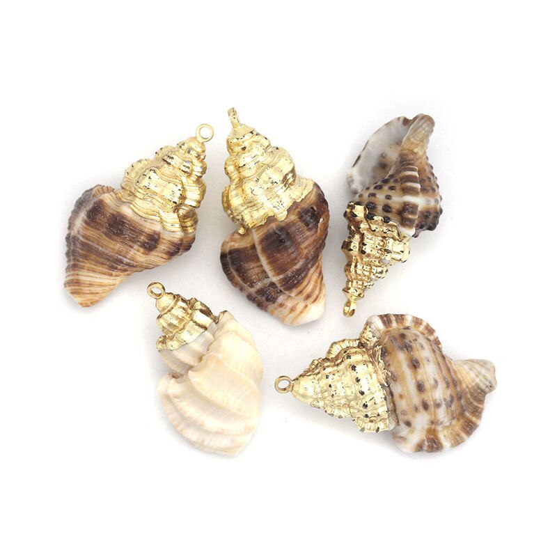 5 PCs Natural Shell Pendants Gold Conch/ Sea Snail Multicolors Charms For DIY Handmade Jewelry Making: 5