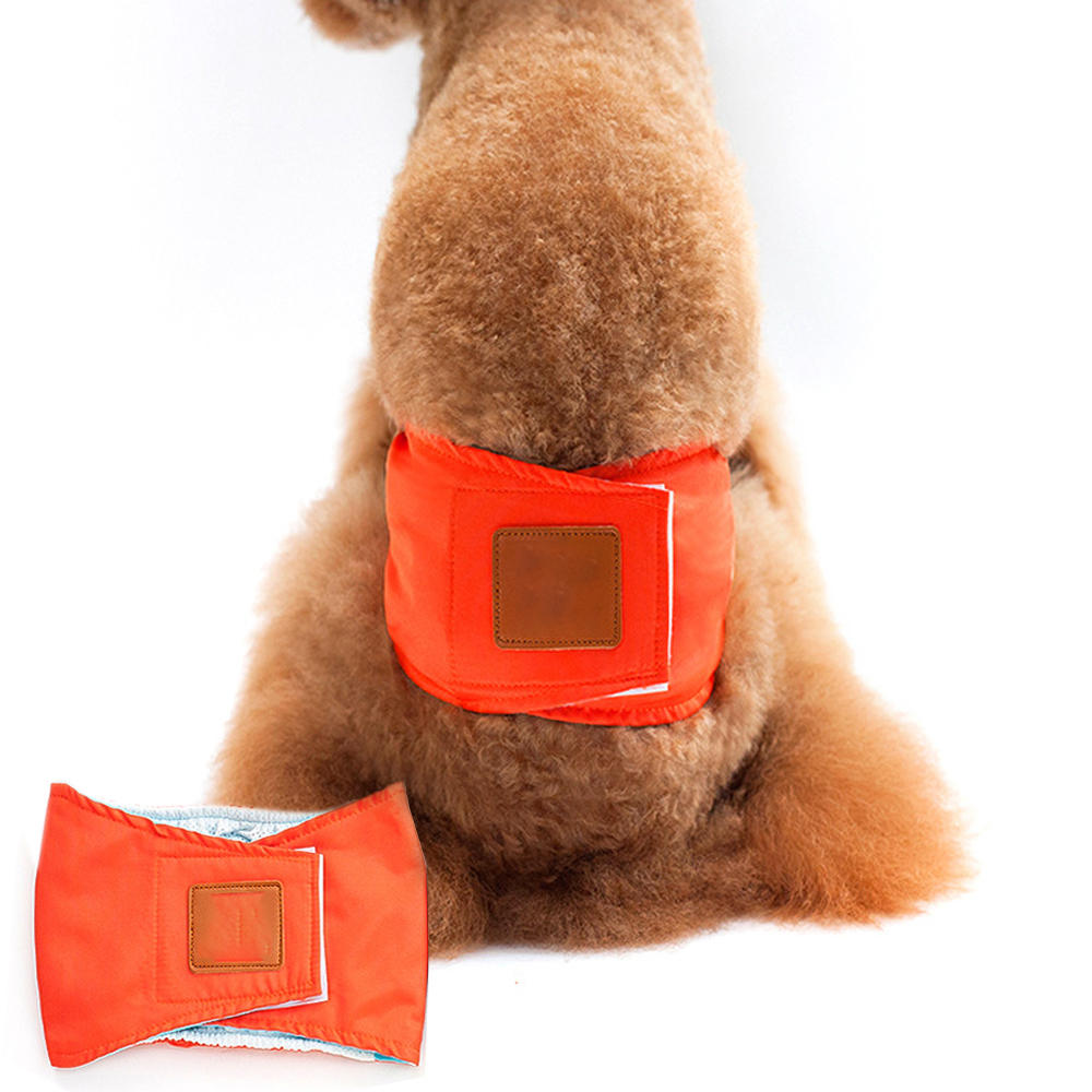 Honhund fysiologiska tvättbara byxor hundshorts trosor sanitetsskydd husdjur säkerhetsbyxor underkläder trosor för hund: Orange / S
