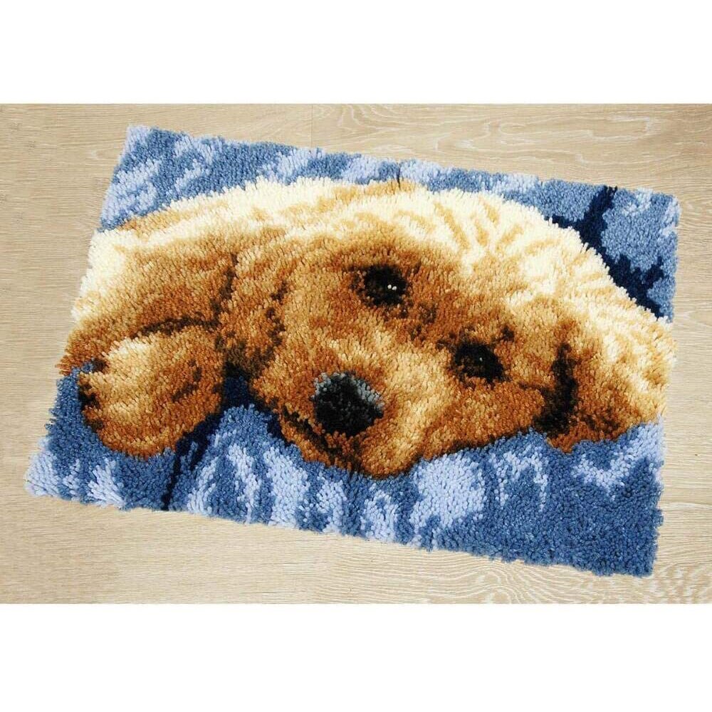 Carpet embroidery kits Cross stitch Latch hook kit with Pre-Printed Pattern Crafts for adults Tapestry Knotted carpet kit