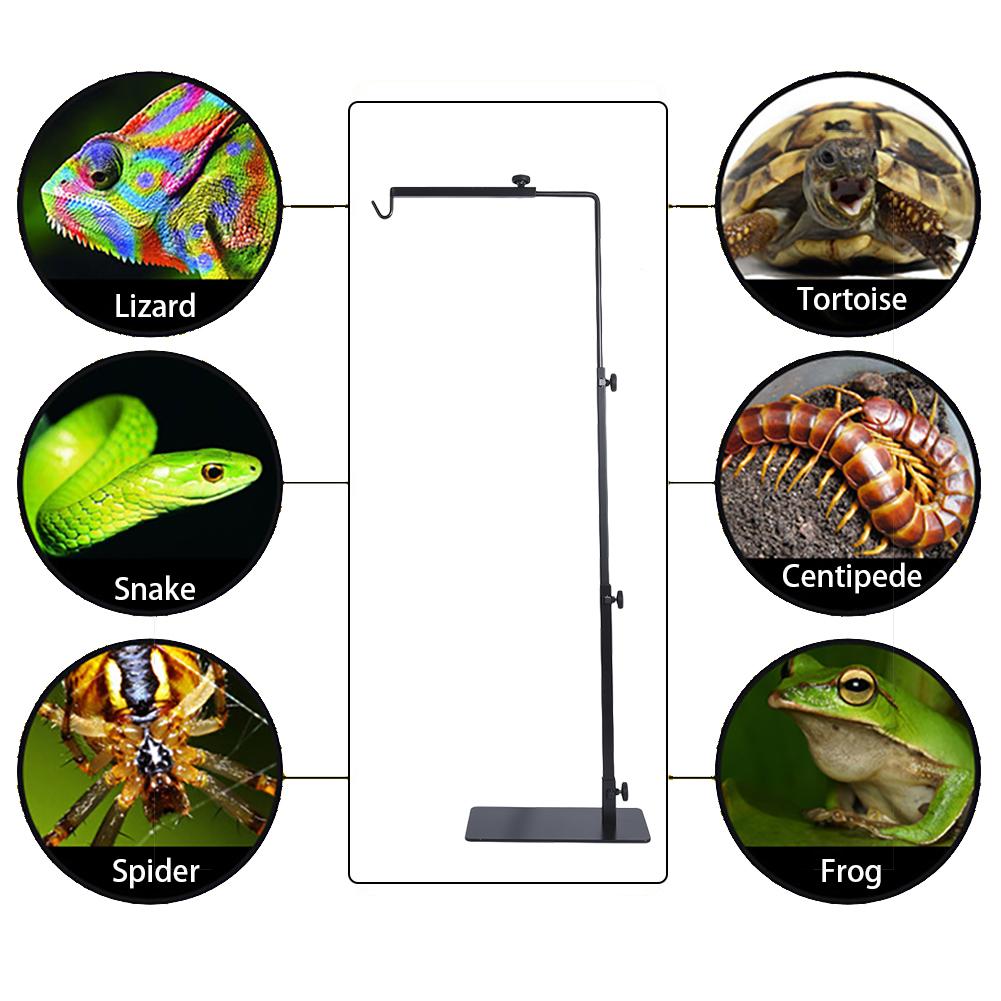 Justerbar teleskopisk reptil lampestand varmelampeholder metal standerlampe beslag til firbenskildpadde lille krybdyr