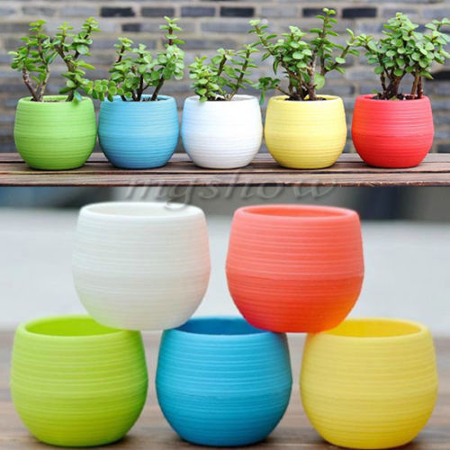 Mini Vaso Rotondo in Plastica - 6 Colori - Piccolo Fioriera per Casa Ufficio Arredo