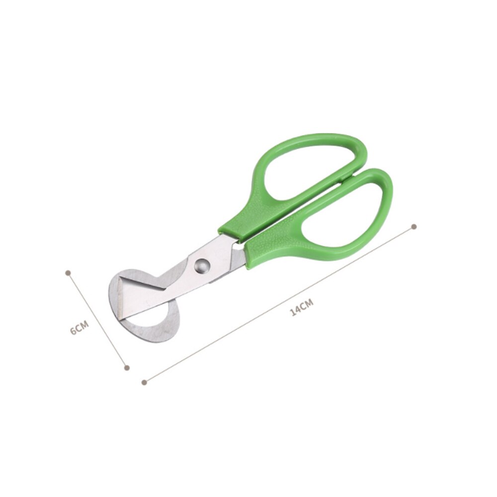 Quail Egg Scissors Eggshell Cutter Stainless Steel Quail Pigeon Bird Quail Eggs Cutter Opener Cracker Kitchen Clipper Tool