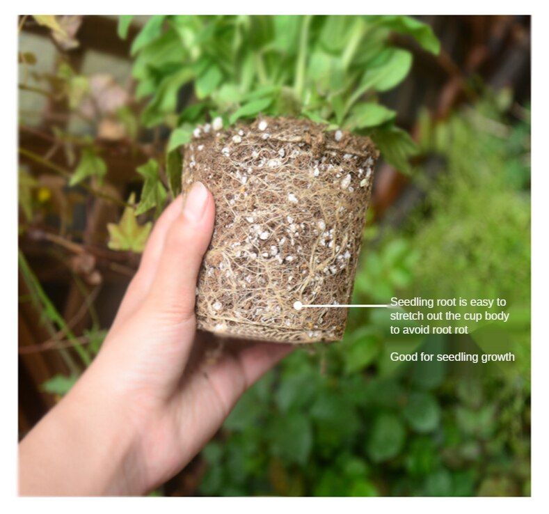 Pulp Nursery Cup 8cm Round Pulp Cup and Biodegradable