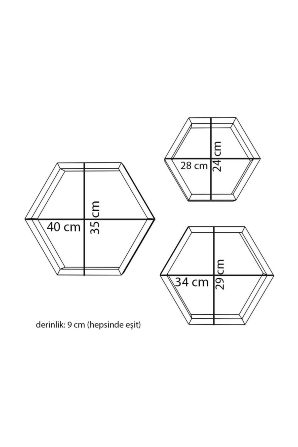 Hexagonal Wall Shelf Set of 3