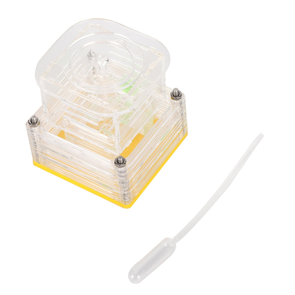 Insect Cage ant farm Acrylic Ant Feeding Nest Transparent Insect House Case Ant Farm Ant Formicarium Insects