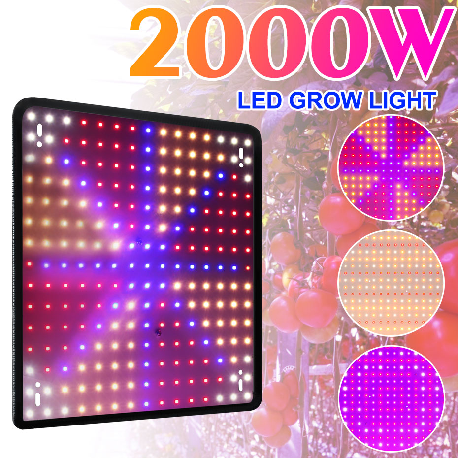 Grow Light LED Plants Growth Lamp Full Spectrum Strip Light Phytolamp Red Blue Lighting Seedling for Flower Succulent Vegetable