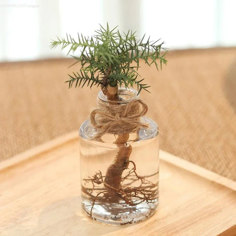 Piccolo vaso per centrotavola Vasi per fiori in plastica con boccioli Mini vaso trasparente rustico Forme uniche per cene di nozze Decorazioni per la casa Vasi
