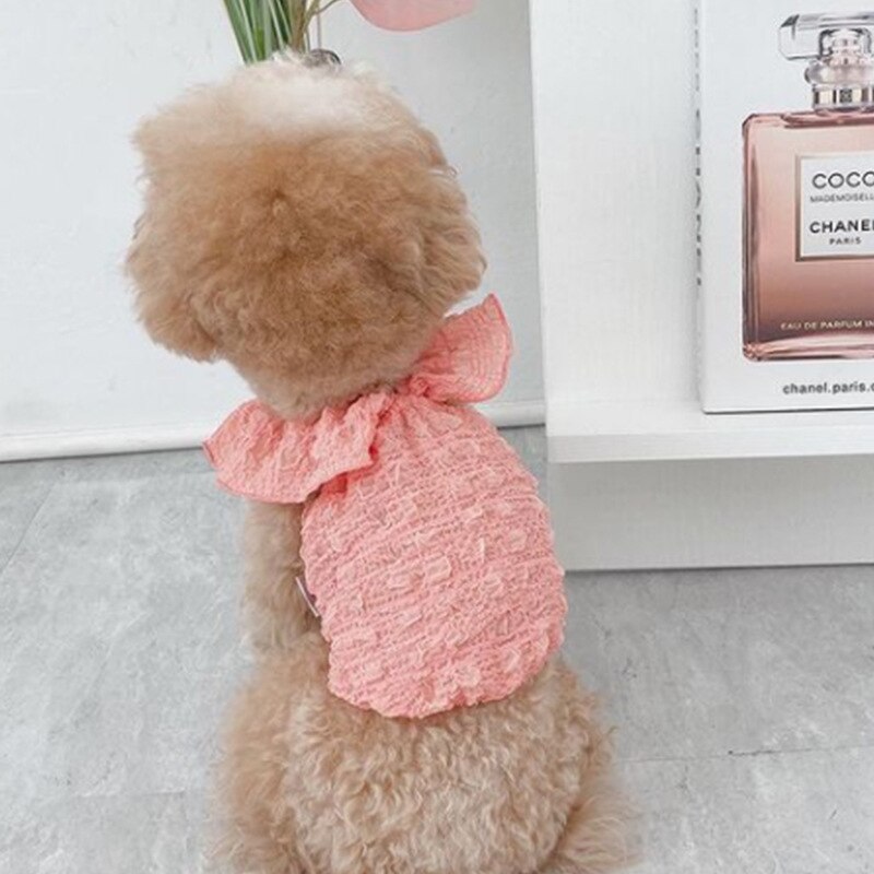 Vêtements pour animaux de compagnie, couleur Macaron, tissu plissé, jupe pour chien, chiot, petit gabarit, gilet à manches papillon, Chihuahua Perro,: 01 / 5.5-7.5kg