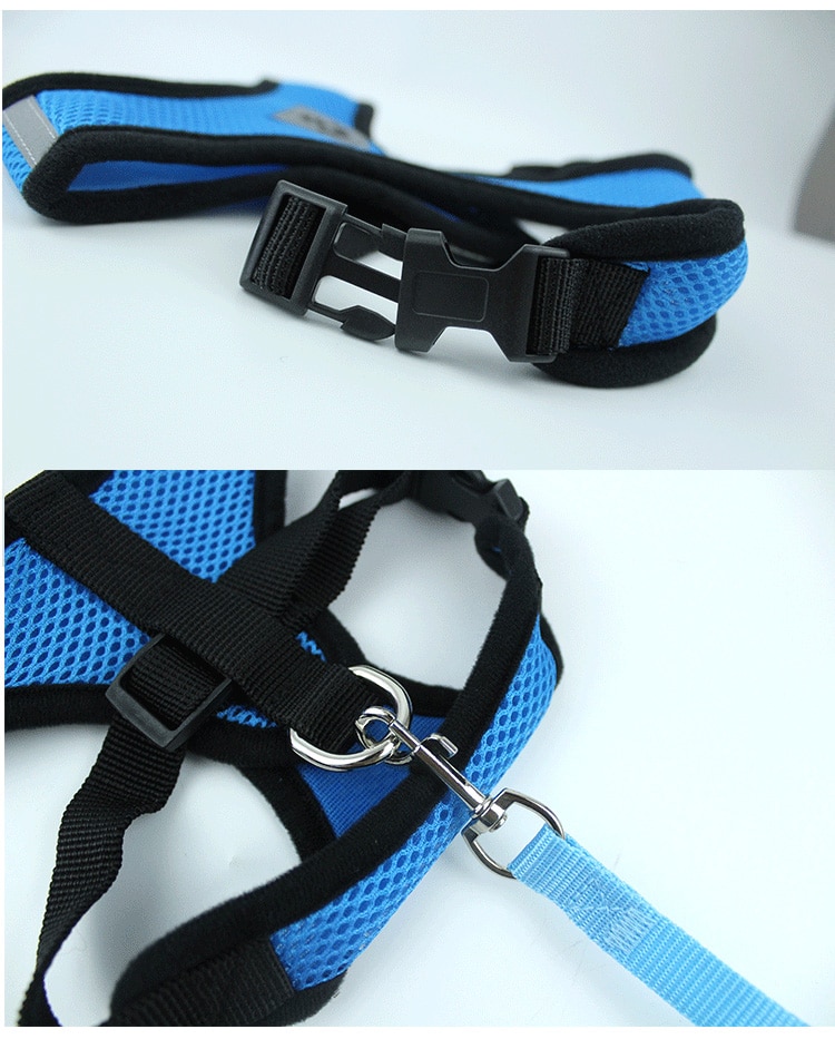Dog Accessories Breathable Mesh Dog Harness And Leash Set Puppy Cat Harness Vest For Small Dogs Chihuahua
