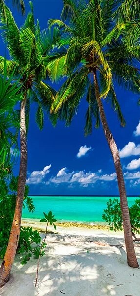 Door Sticker Summer Tropical Beach Tree Door Picture Mural Sickers Photo Wallpaper Poster