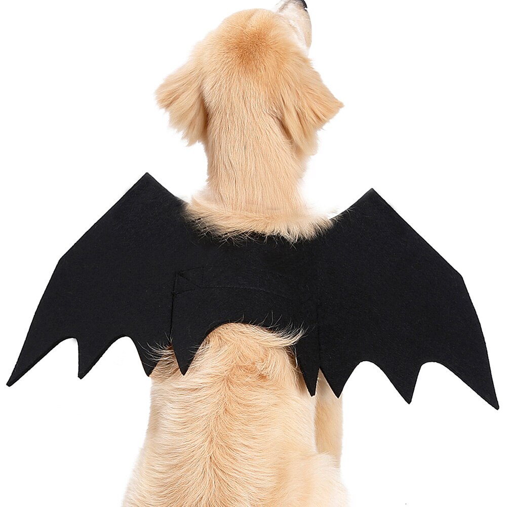 Godt sundt dyr kæledyr hund kat flagermus vinge halloween fancy dress kostume outfit filt klud sort