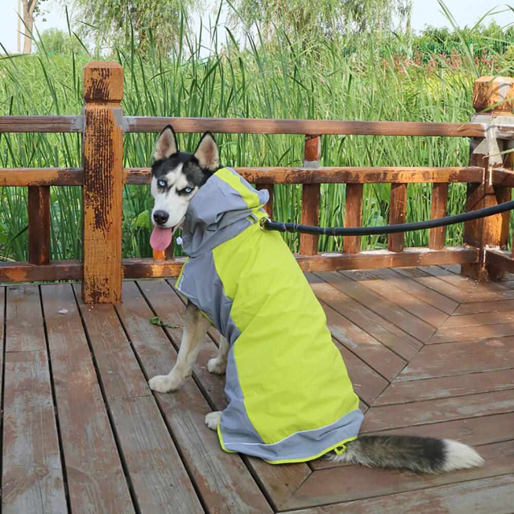 Impermeable para perro mascota perros de compañía, impermeable, impermeable, reflectante, con capucha, Poncho, chaqueta de lluvia, abrigo para exteriores, ropa para perros abrigo