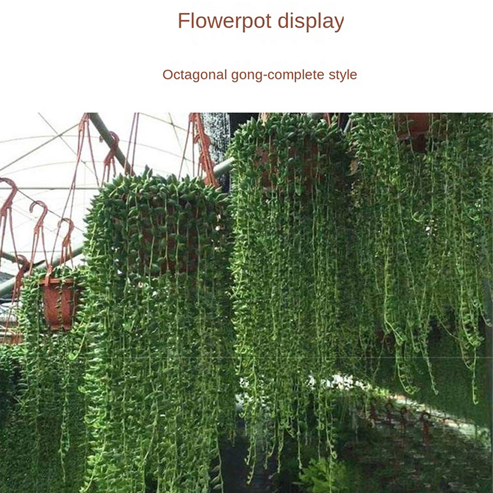 Hängender Blumentopf aus Kunststoff, Sukkulenten-Übertopf, Orchideen-Hängetopf für Balkon, Garten, Pflanzbedarf, 9,8 cm