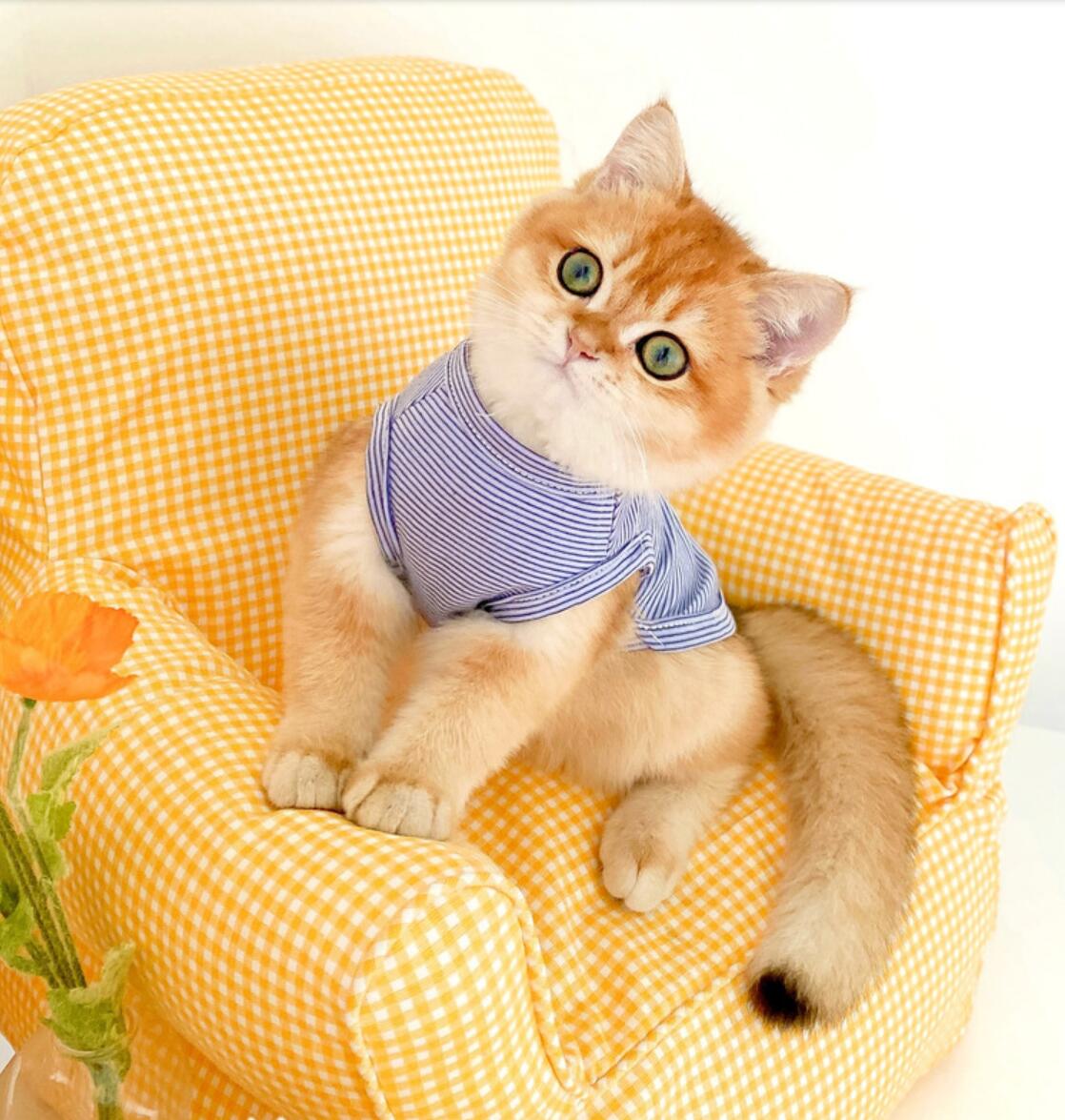 Summer Pet Clothes Cherry Print Cat Clothes for Small Cats Dogs Costume Cherry Print Cat Shirt: Blue / XL