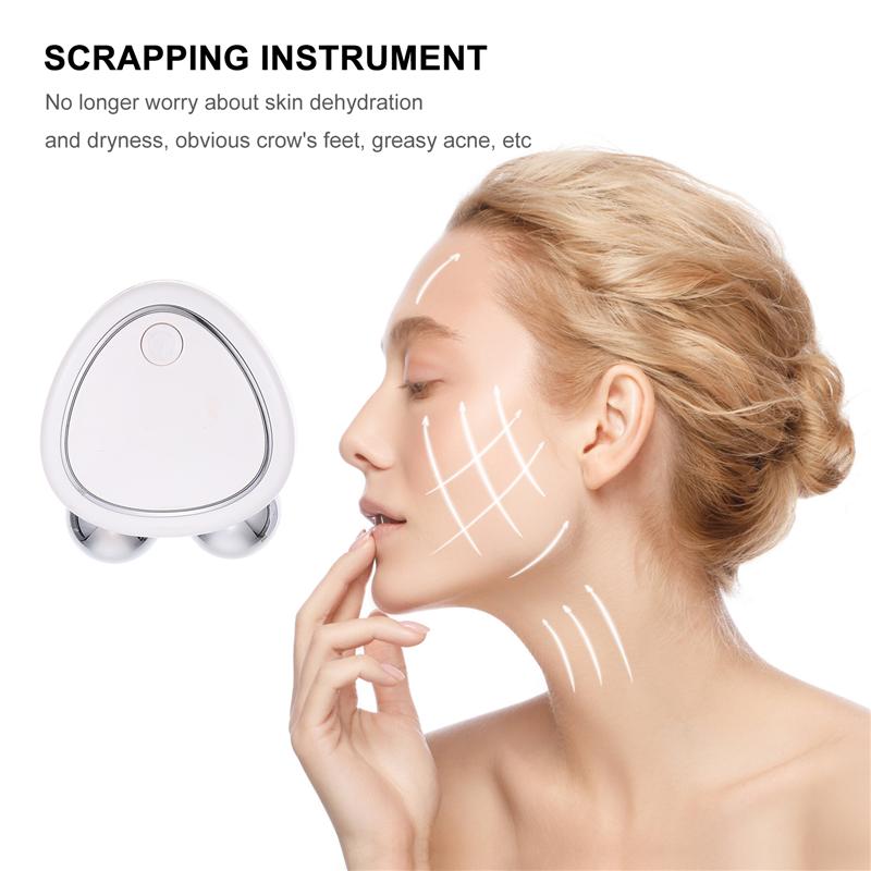 1 Set Microcourant Dispositif de Massage Du Visage À Usage Domestique Instrument de Beauté De Peau De Levage de Visage Mince USB Double Rouleau Instrument de Massage