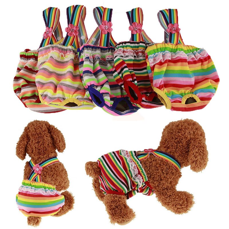 Culotte physiologique arc-en-ciel pour chiens, sous-vêtement respirant en coton, protection pour animaux De compagnie