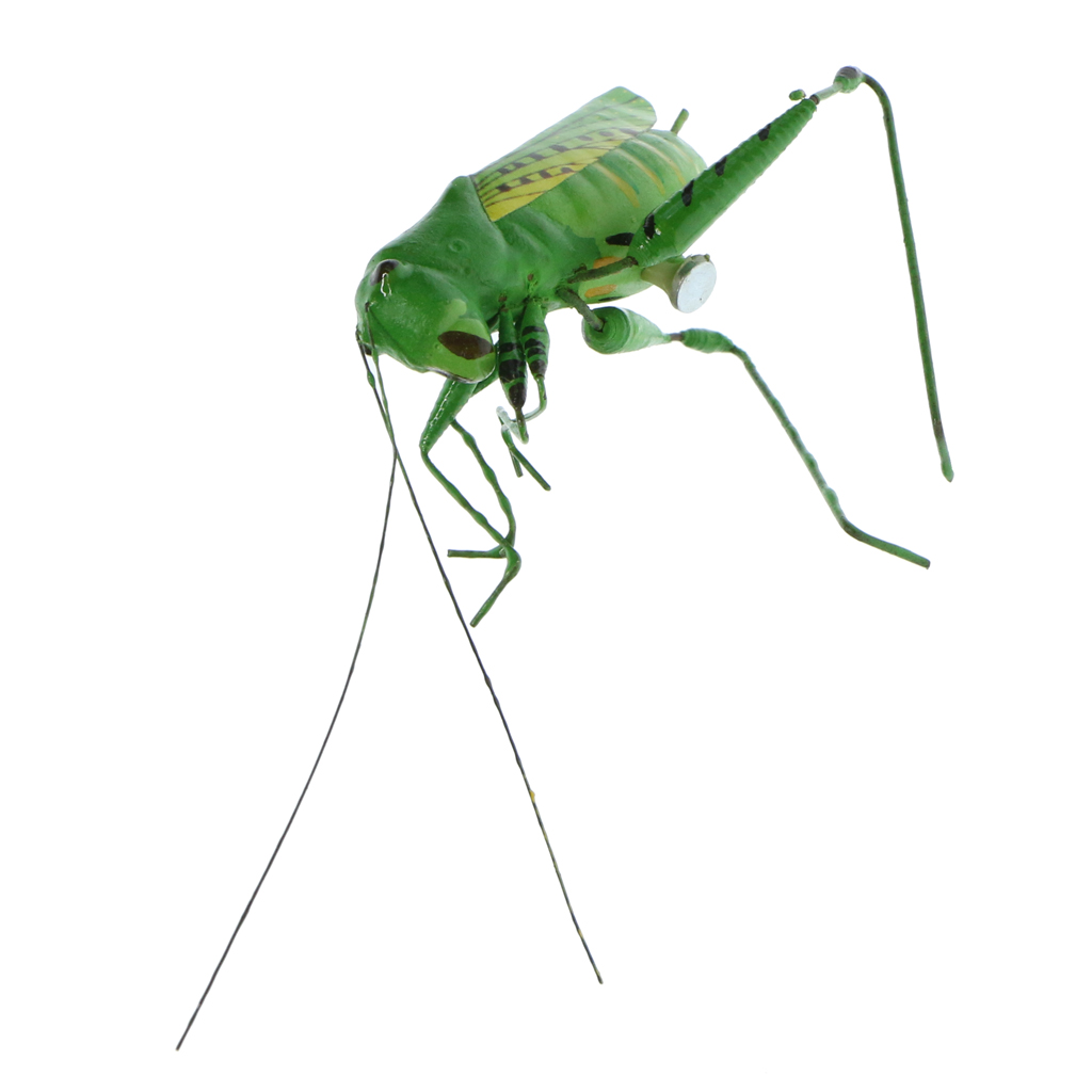 1Pc Realistic Insects Figures Lifelike Animal Figurines Toys Educational Learning Toys Birthday Insects Toy Perfect: Katydid