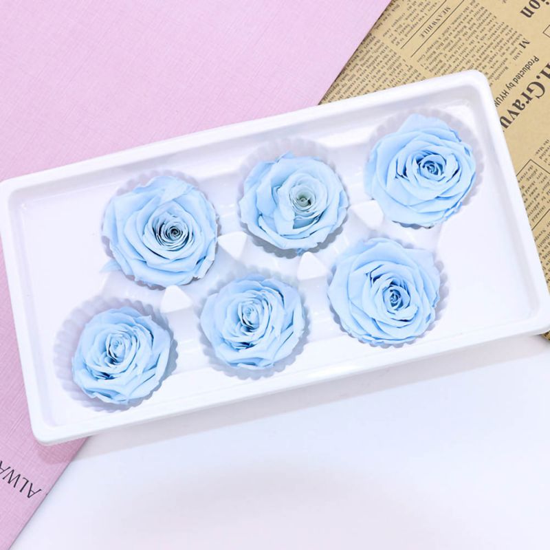 6 Roses Dried Flower Flower Head Eternal Flower B-class Wedding Family Decoration Valentine's Day Mother's Day
