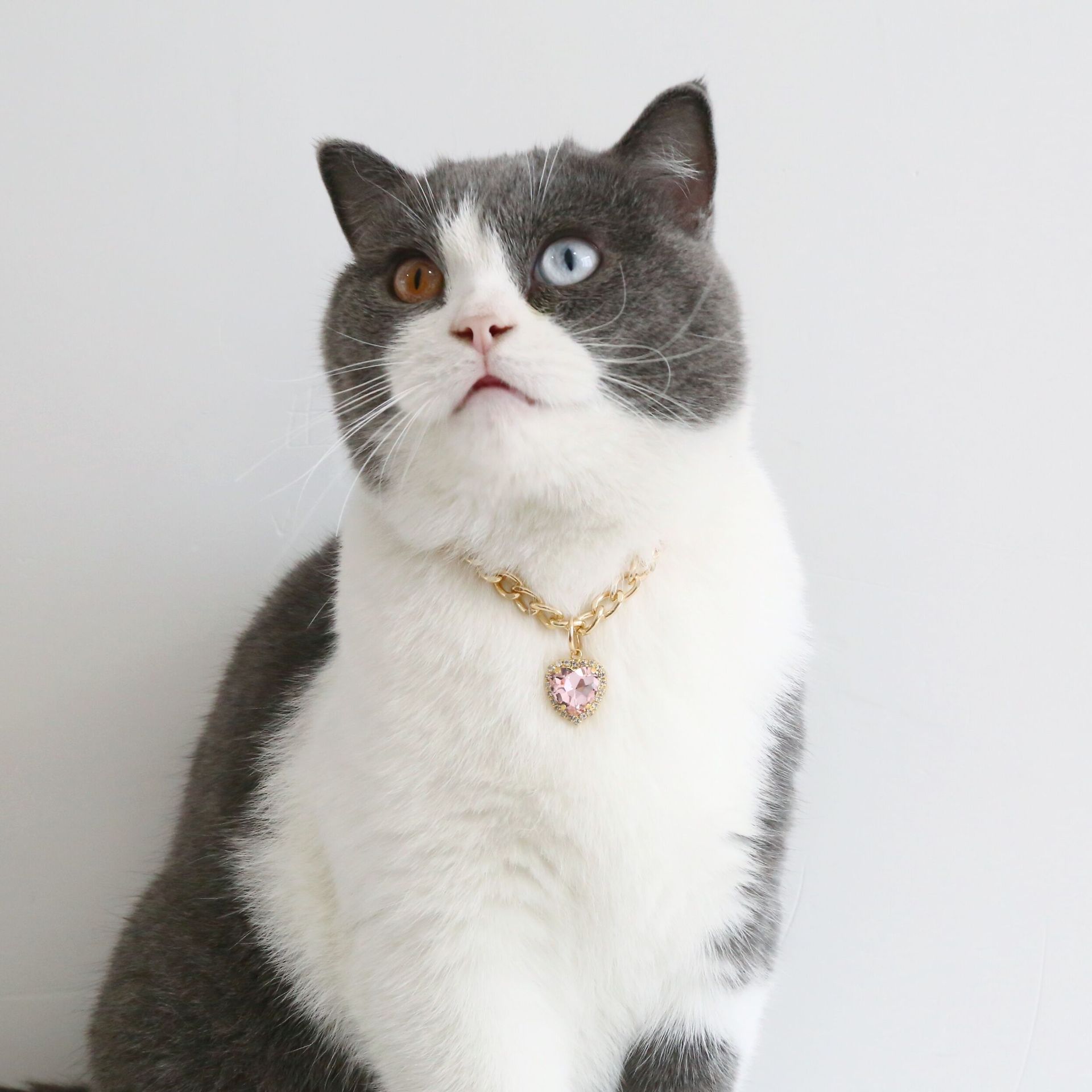 Collier de luxe pour chien et chat, bijoux avec pendentif en forme de cœur et de diamant, chaîne en or, accessoires de Costume d'anniversaire et de mariage pour animaux de compagnie