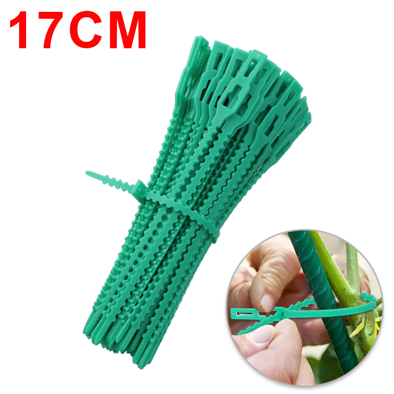 Adjustable Plant Cable Ties Reusable Self-locking ... – Grandado