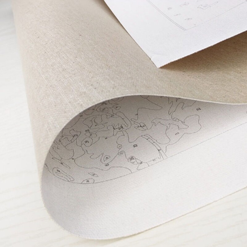 Painting by Numbers for Adults Beginner DIY Kits on Canvas without Frame 40x50cm @M23