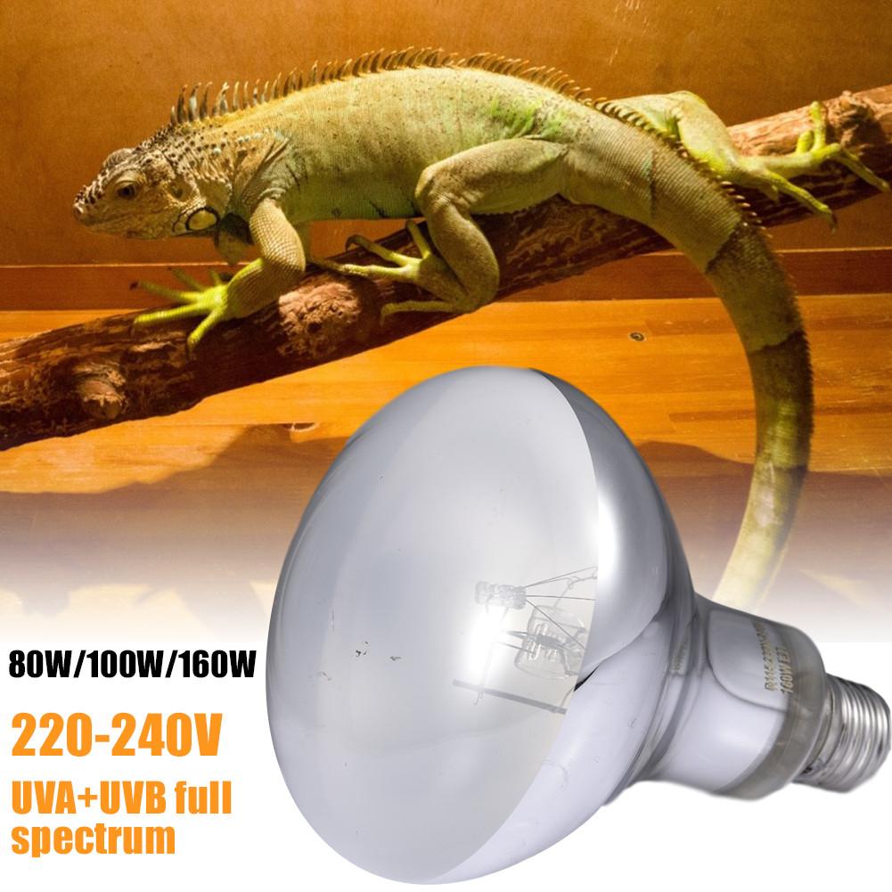 80W/100W/160W E27 lampe chauffante pour animaux de compagnie Non éblouissante multifonctionnelle UVA UVB lampe UV à spectre complet ampoule pour Reptile