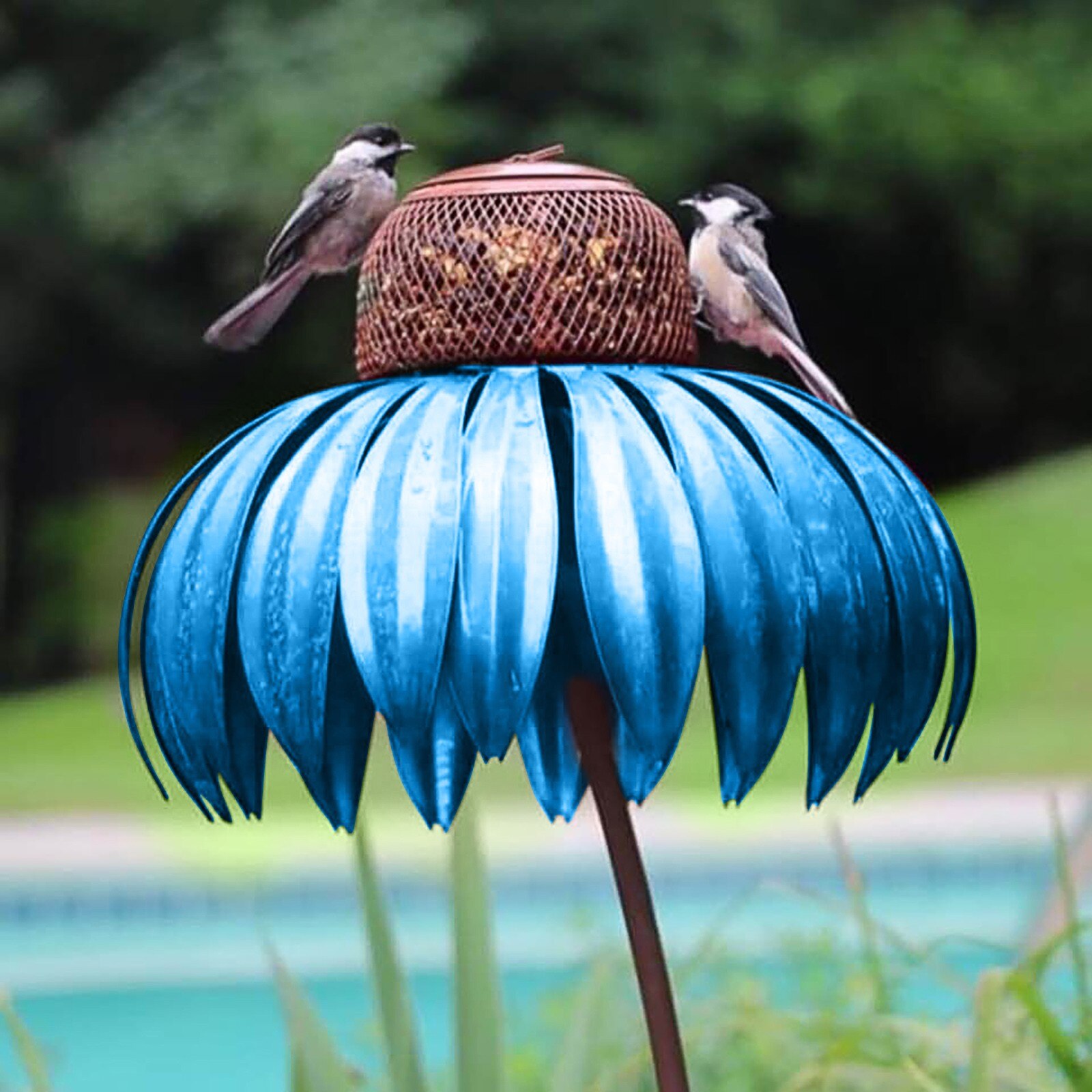 Bird Ensation Pink Coneflower Bird Feeder Wild Bird Feeder Gazebo Hummingbird Feeder Yard Garden Decor Кормушка Для Птиц #1: Blue