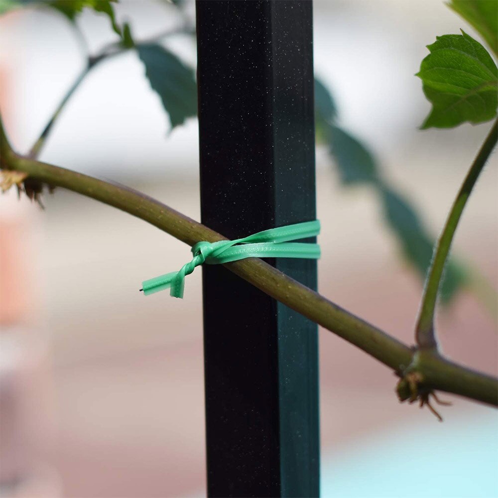 100M Multifunctional Garden Cable Tie Plant Twist Tie With Cutter Gardening Reusable Plant Wire Cable Binding Rope With Slicer