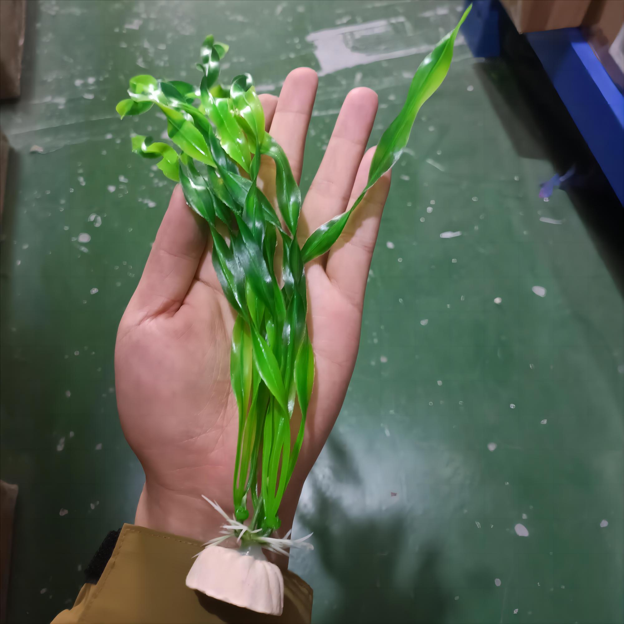 1 Pc Kunststoff Aquarium Künstliche Wasserpflanze Dekoration Simulierte Algen Wasserpflanze 3 Farben Unterwasser Pflanze Dekoration