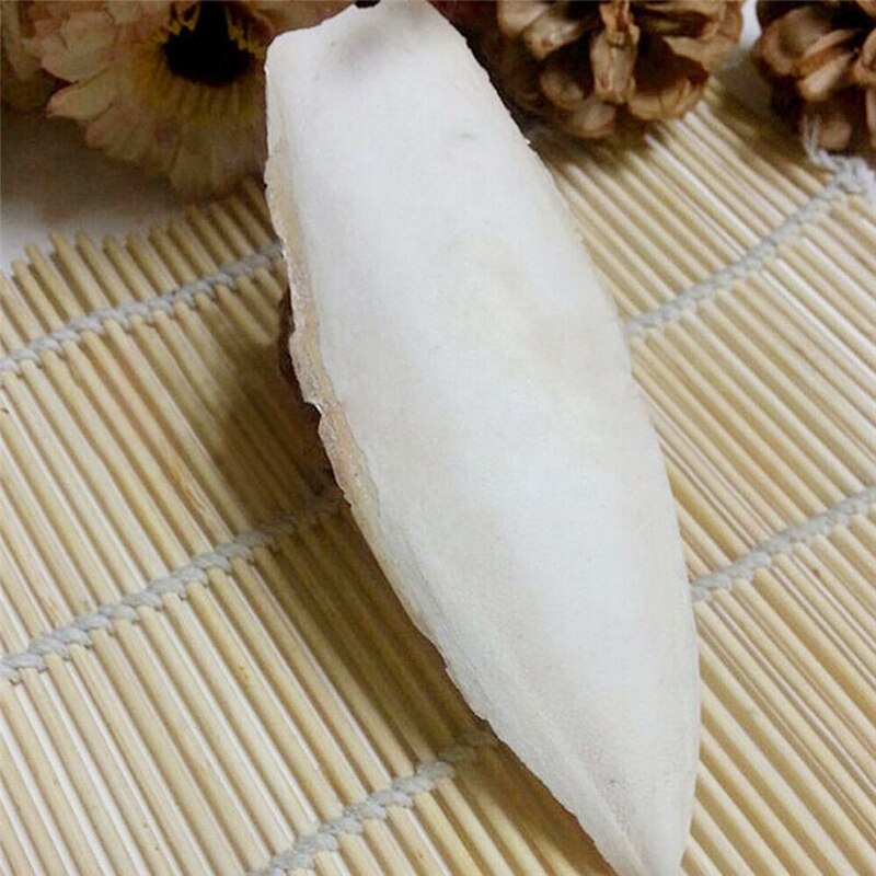 1 /2 Pcs Cuttle Fish Cuttlefish Bone For Pet Budgie Birds Reptiles Tortoise Food