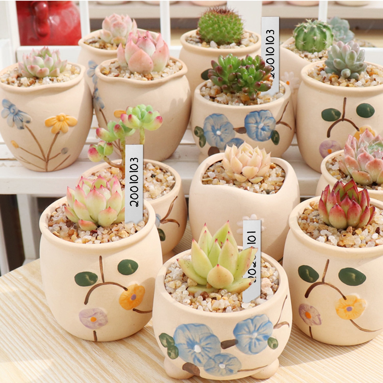 100 stk planteetiketter vanntett plast hage plante skiltetiketter innsats til planter blomster grønnsaker hvit 5 x 1cm/10 x 2cm