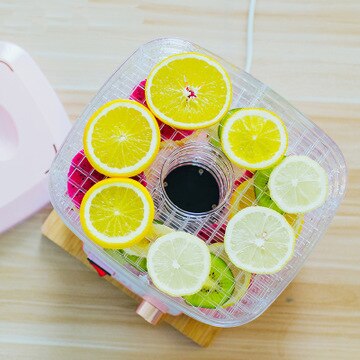 Dörr Maschine Professionelle Elektrische Multi-Ebene essen Erhalter MeatrBeef Obst Gemüse Trockner