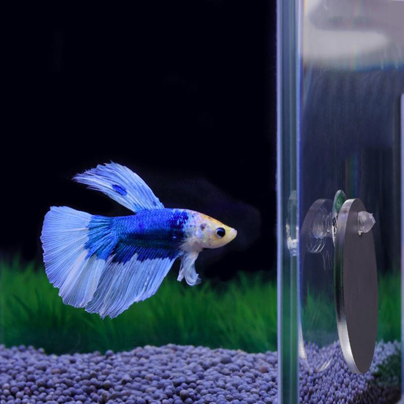 Akrylowe akwarium Betta lustro ryba czołg Pływające okrągłe lustro dla ryb Betta Flowerhorn Cichlid trening 4cm/5cm/6cm/7cm/8cm
