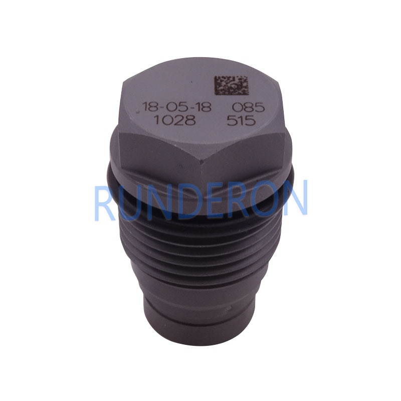 Common Rail Systeem Injectie Pomp Brandstof Overdrukventiel 1110010028 1 110 010 028