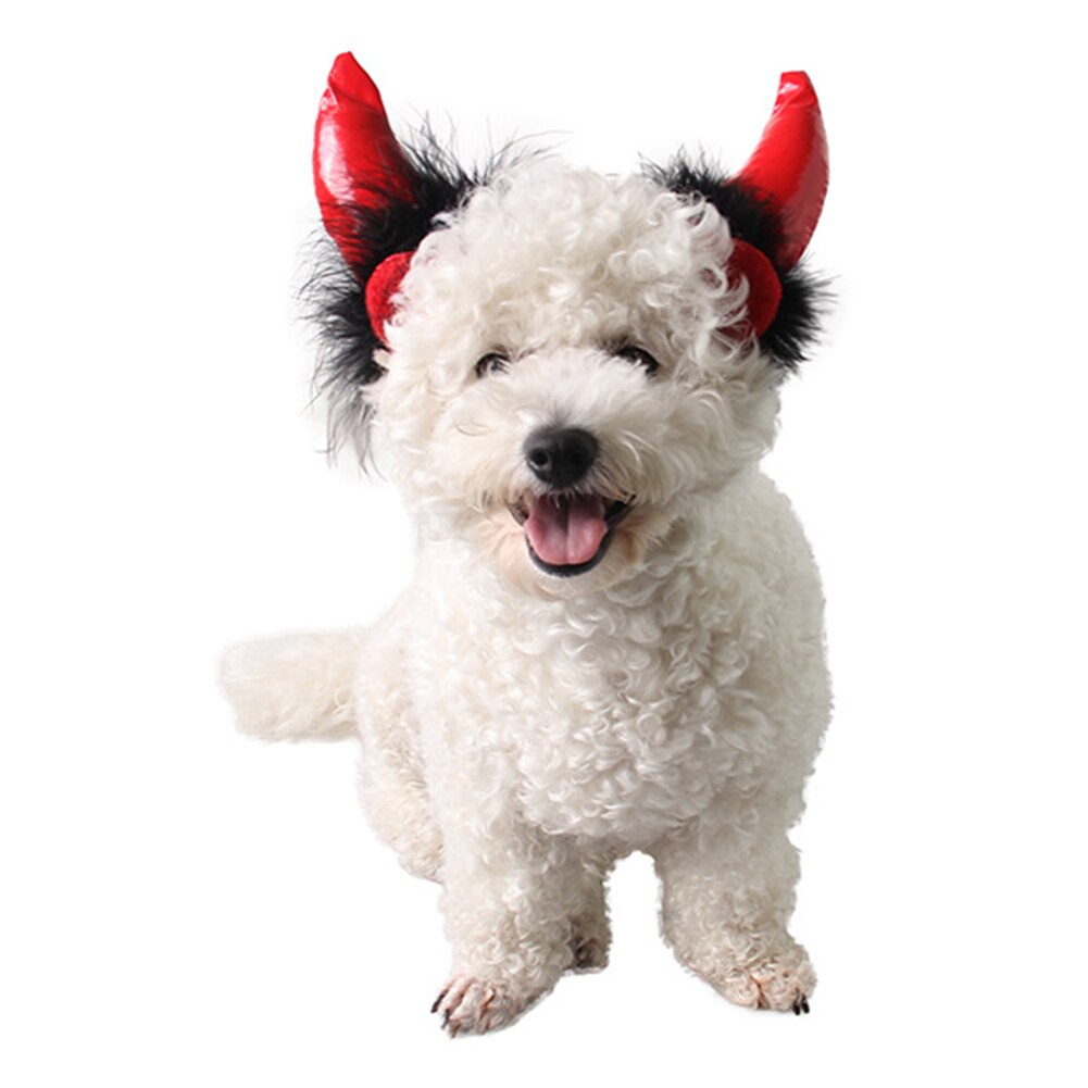 Halloween diable mignon chat de compagnie chiot casquette décoration fournitures corne chapeau chat accessoires